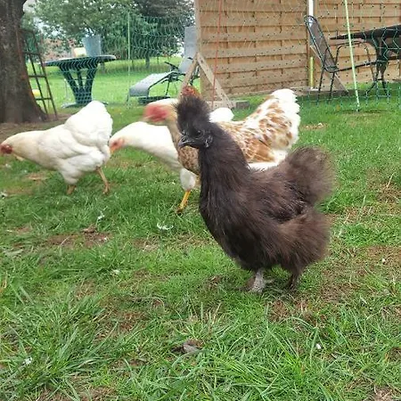 Ahlers Semesterbostad