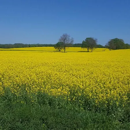 Semesterbostad Ahlers *